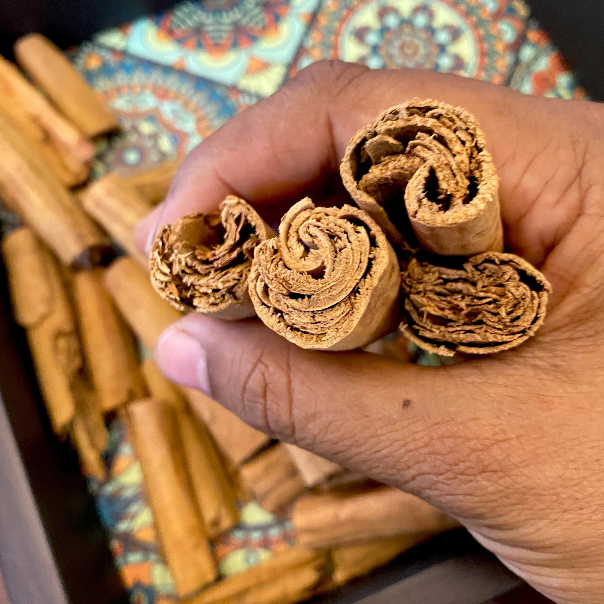 Ceylon Cinnamon