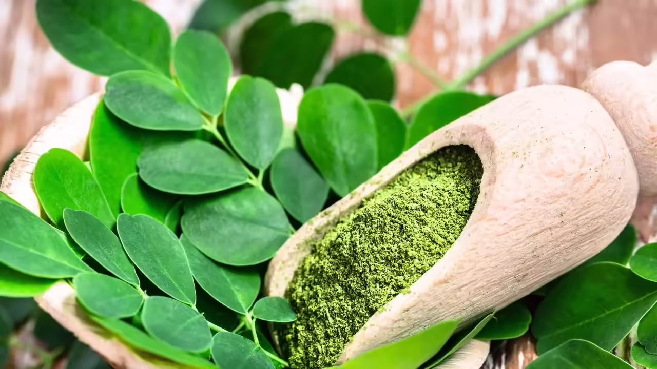 Moringa Powder