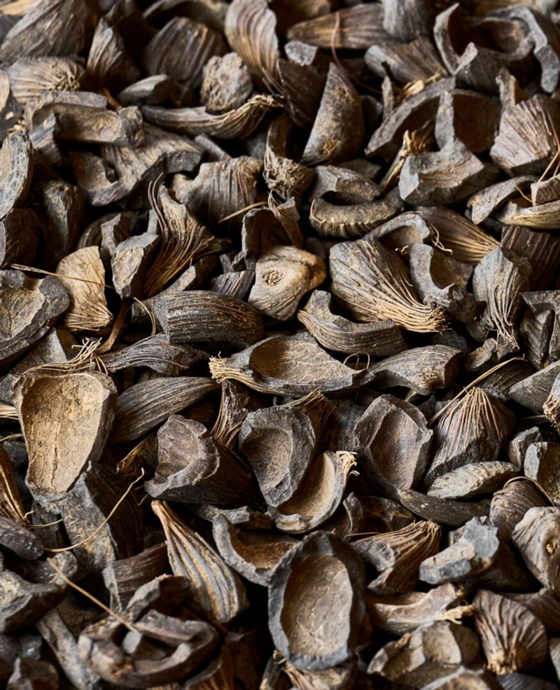 Palm Kernel Shell