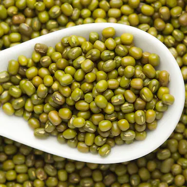 Green Mung