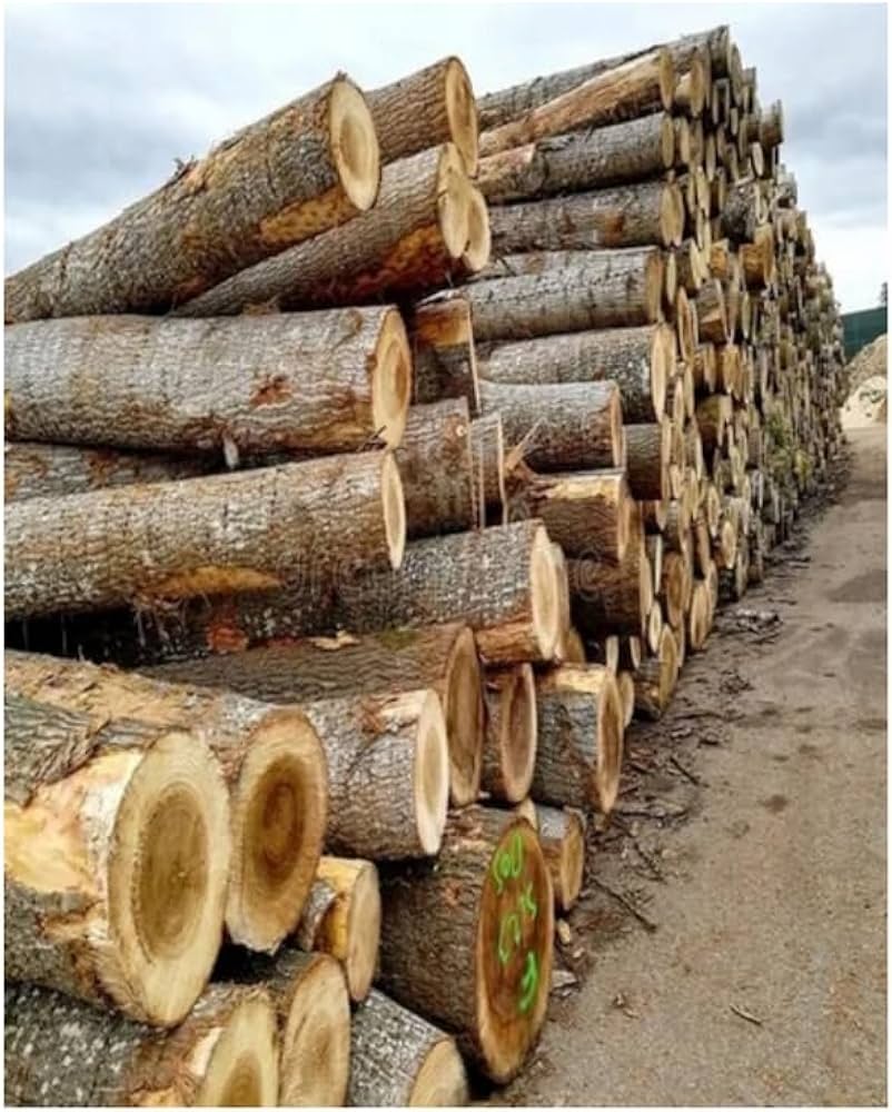 Timber