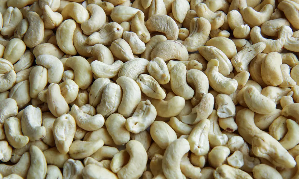 Raw cashew nuts