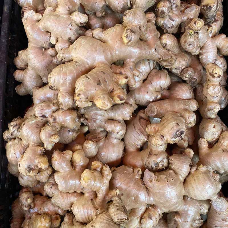 Fresh Ginger