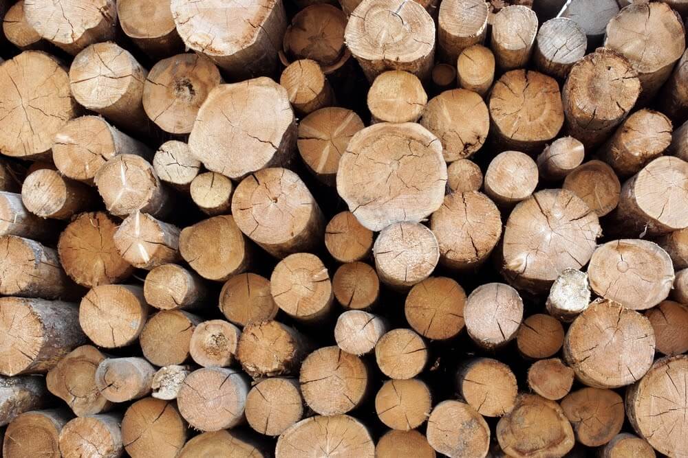 Timber