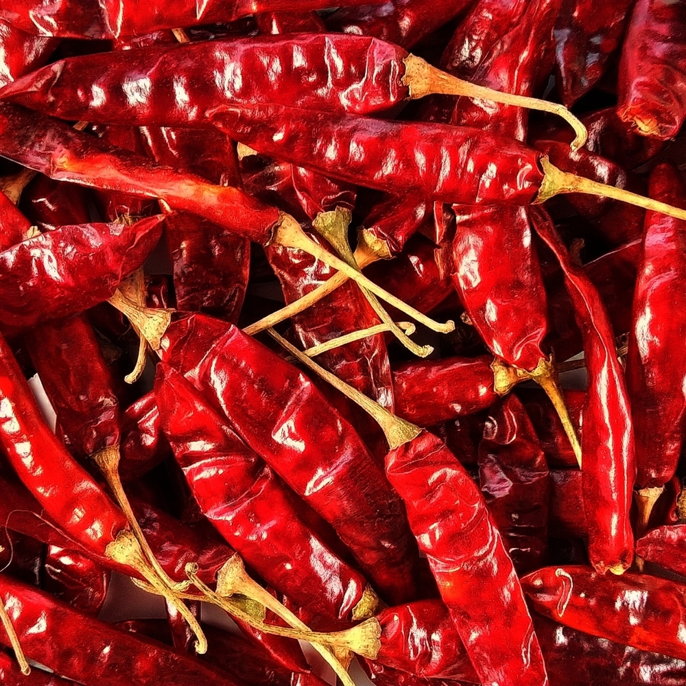 Red Chilli