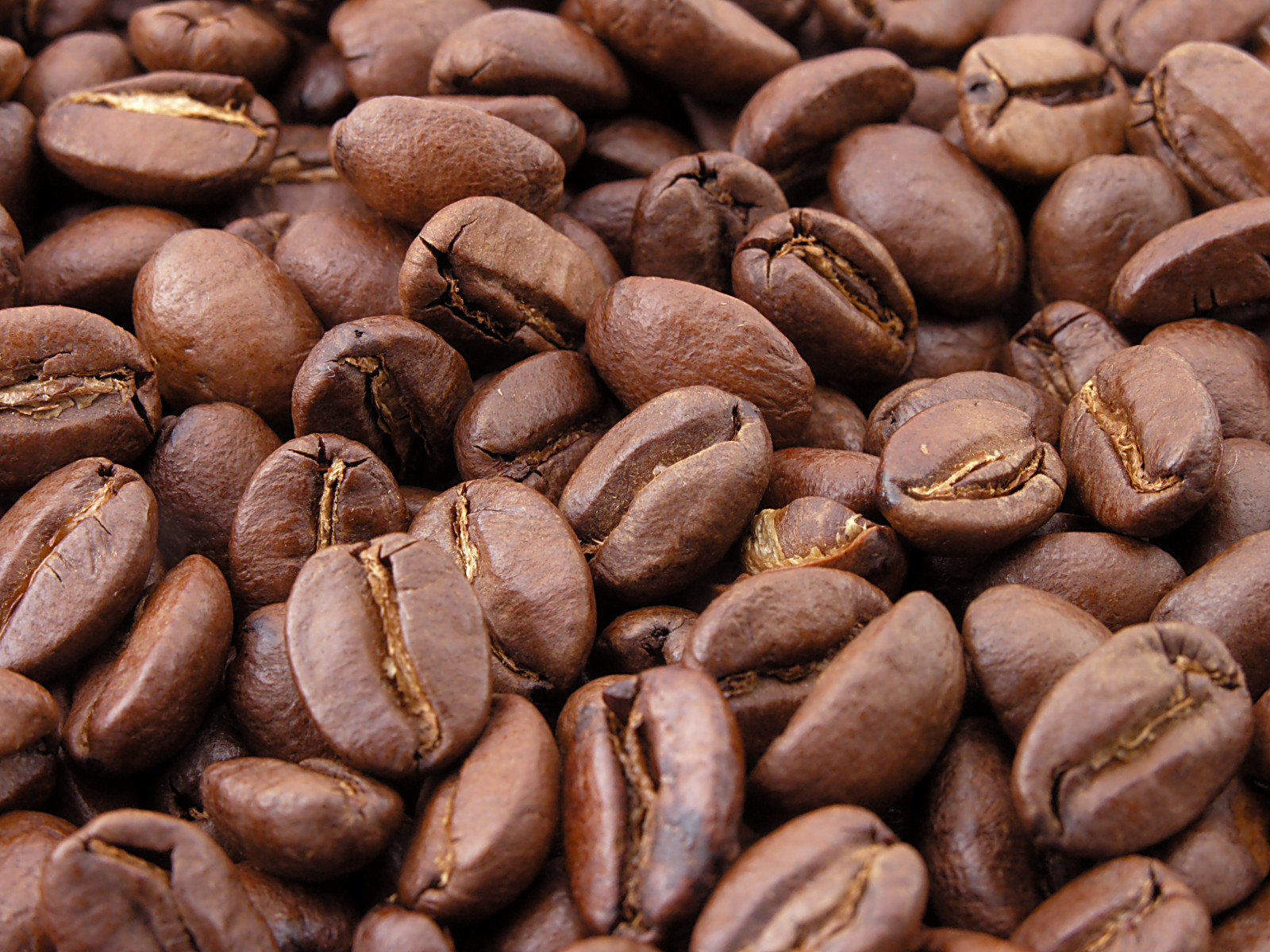 ROASTED COFFEE BEANS