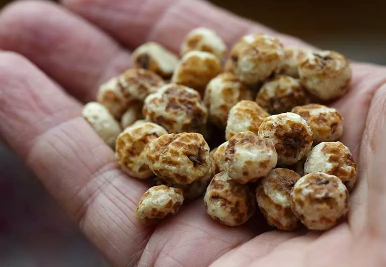 Tiger Nuts