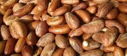 Bitter kola