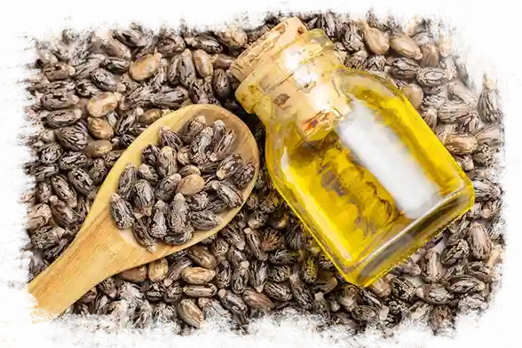 Castor oil