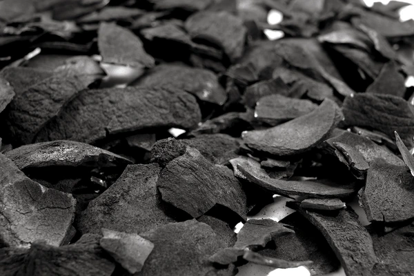 Coconut charcoal