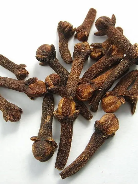 Cloves