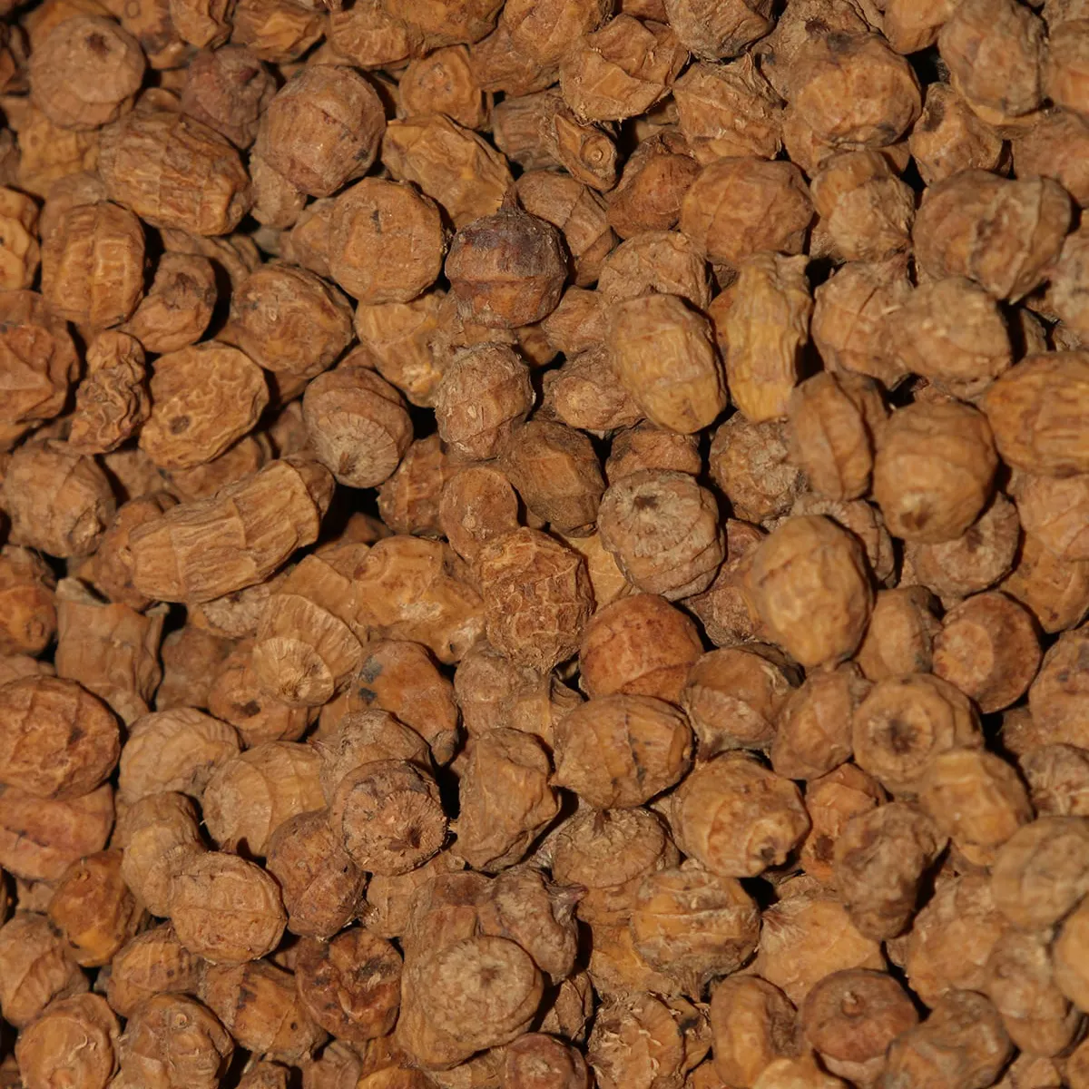 Tiger Nuts
