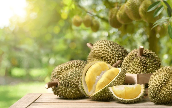 Durian