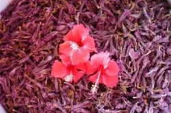 Dry Hibiscus