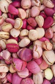 Kola nut