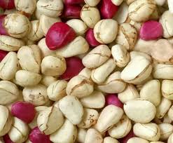 Kola nut