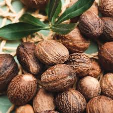 Shea Nut