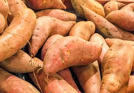 Sweet Potato