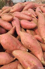 Sweet Potato