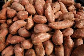 Sweet Potato