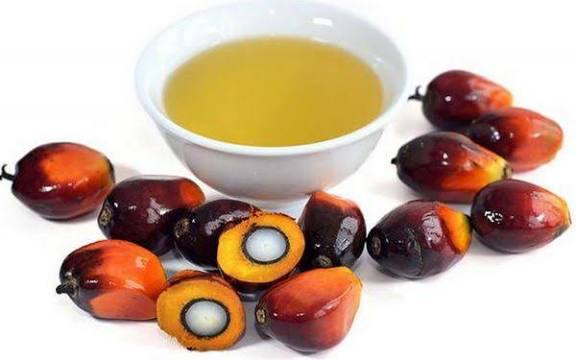 Palm Oil