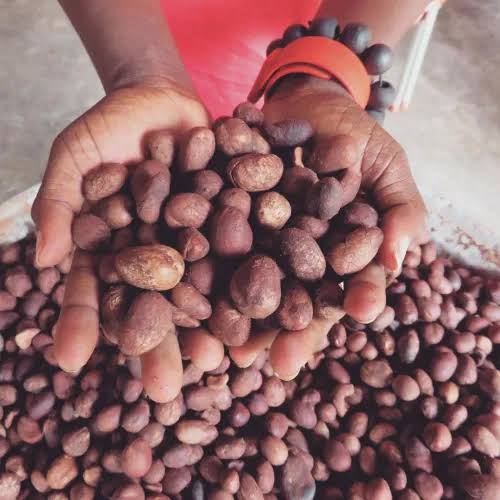 Shea Nut