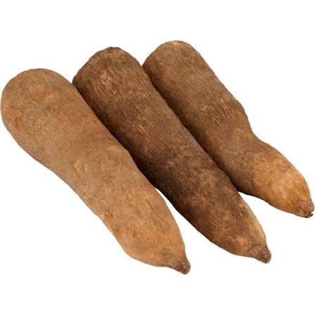 Yam