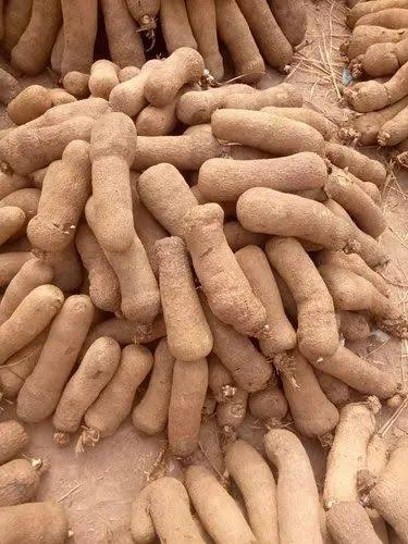 Yam