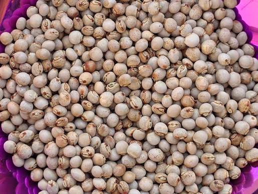 Pigeon Peas