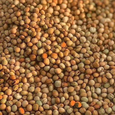 Pigeon Peas