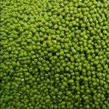 Green Mung