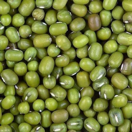 Green Mung