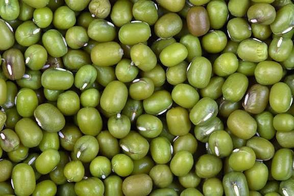 Green Mung