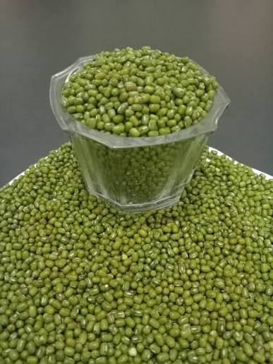 Green Mung