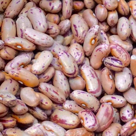 Sugar Beans