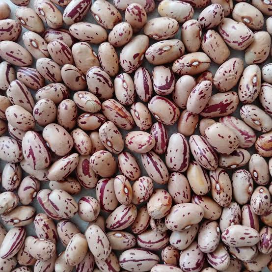 Sugar Beans