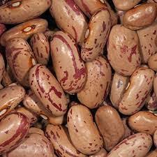 Sugar Beans