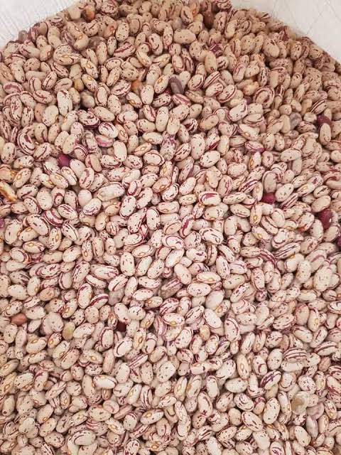 Sugar Beans