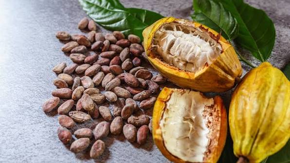 Cocoa Product