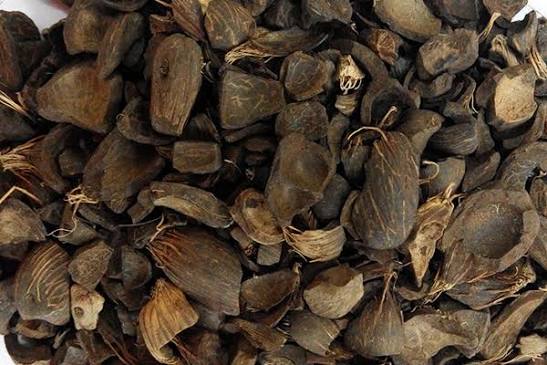 Palm Kernel