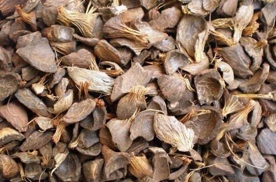 Palm Kernel