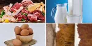 LIVESTOCK PRODUCTS