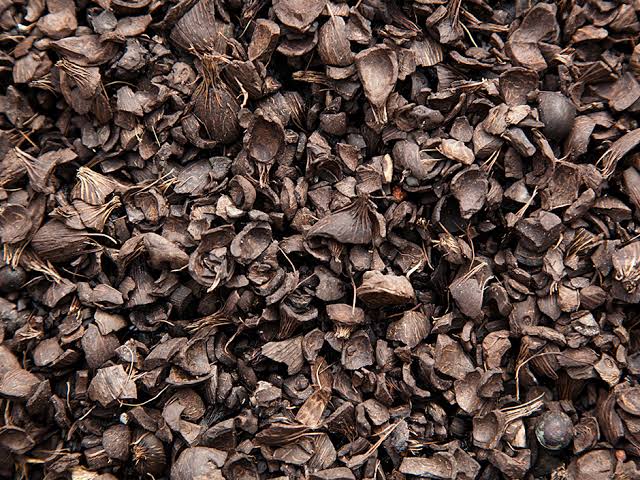 Palm Kernel Shell