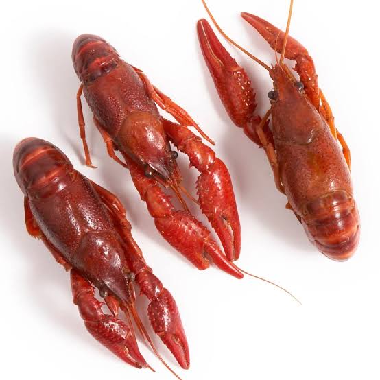 Crayfish