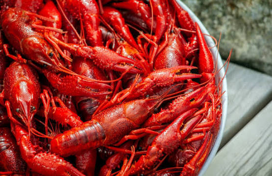 Crayfish