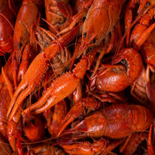 Crayfish