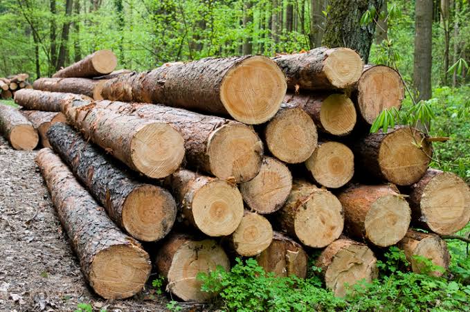 Timber