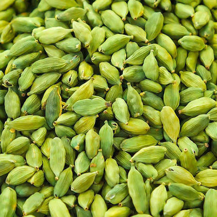 Cardamom