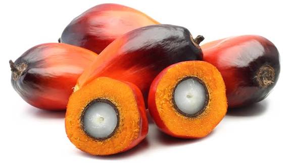 Palm Oil