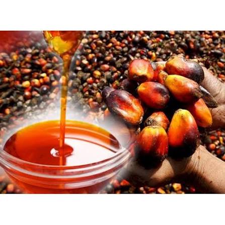 Palm Oil